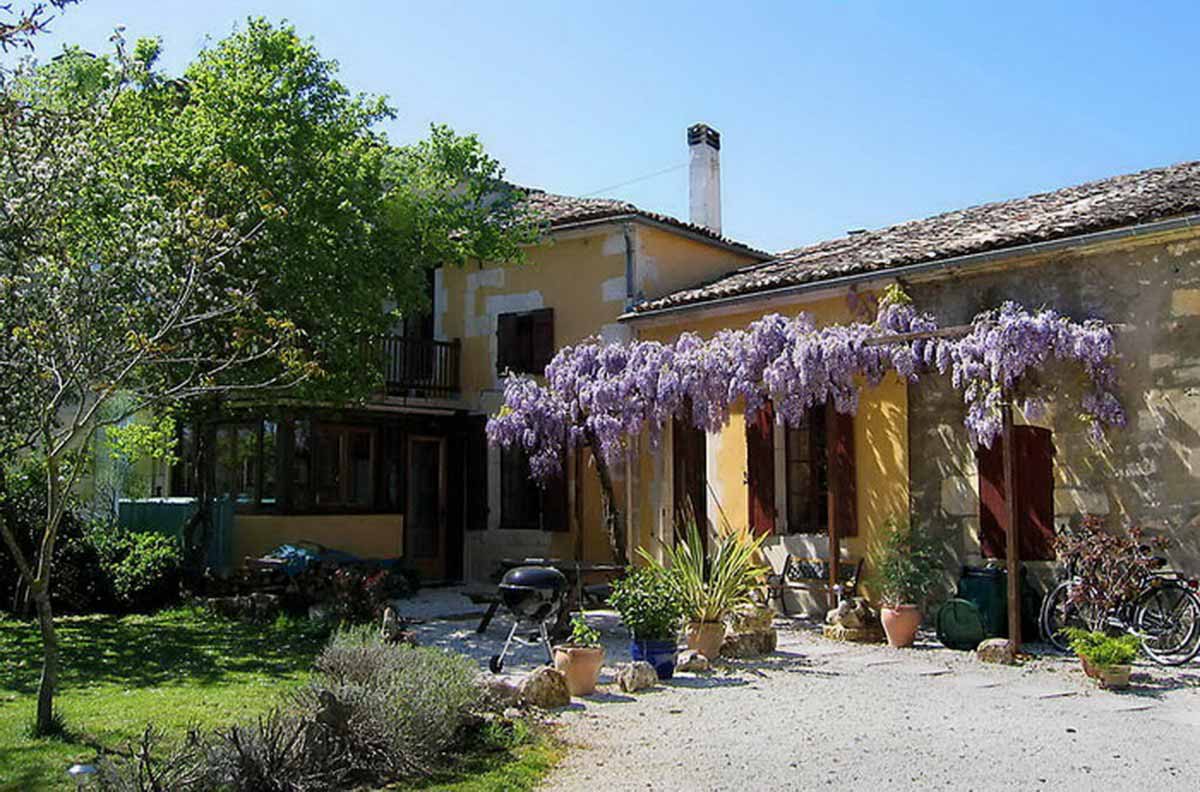 Glycine de la Ferme